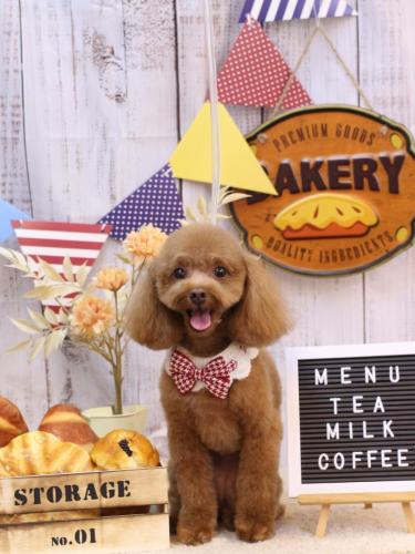 20240908このはちゃん